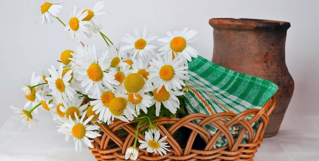 カモミールの花から化粧水を作る方法